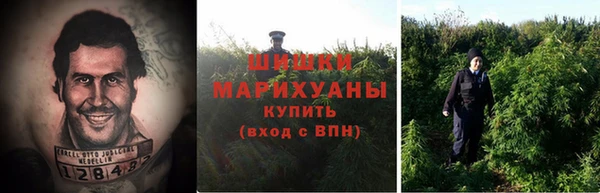каннабис Алексин
