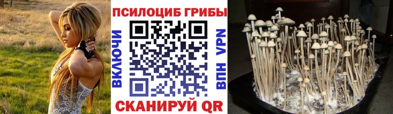 Галлюциногенные грибы MAGIC MUSHROOMS  как найти закладки  Ленинск-Кузнецкий 